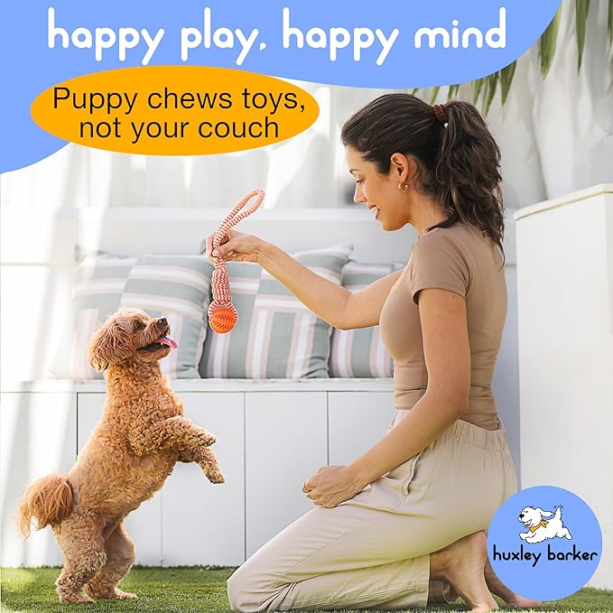 Premium Puppy Starter Kit - Image 6