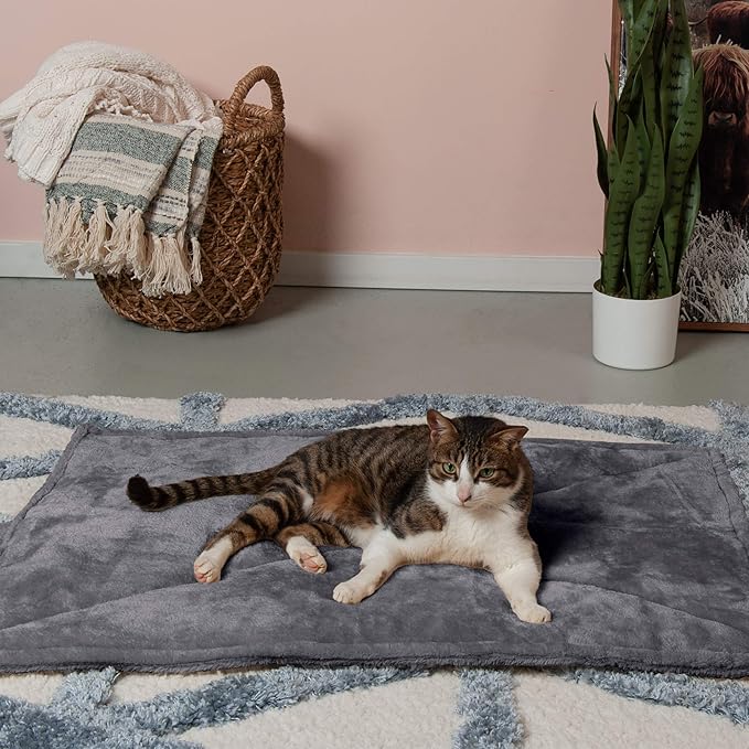Furhaven ThermaNAP Self-Warming Cat Bed - Image 3