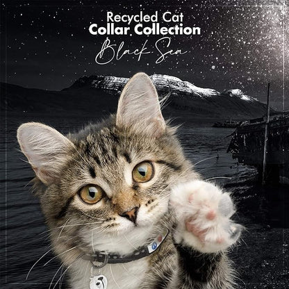 Pawtitas Recycled Black Reflective Cat Collar – Eco-Friendly Breakaway Safety - Image 9