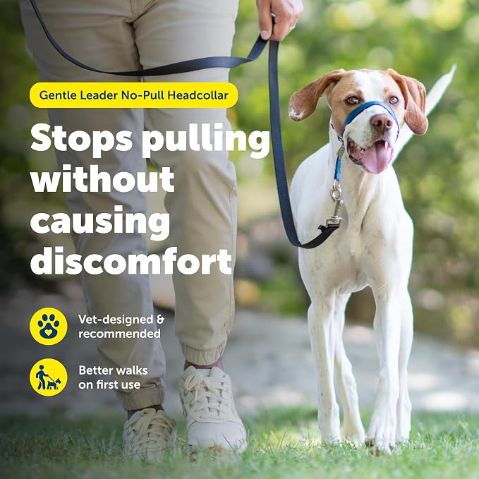 PetSafe Gentle Leader Headcollar No-Pull Dog Collar - Image 2