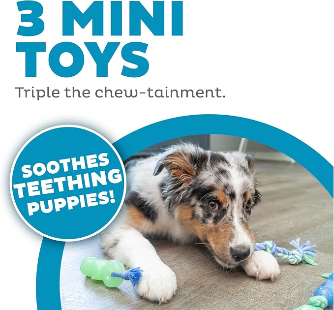 Outward Hound Pupstages Mini Dentachew Pack Dental Chew Toy, Fetch & Tug Rope - Image 3