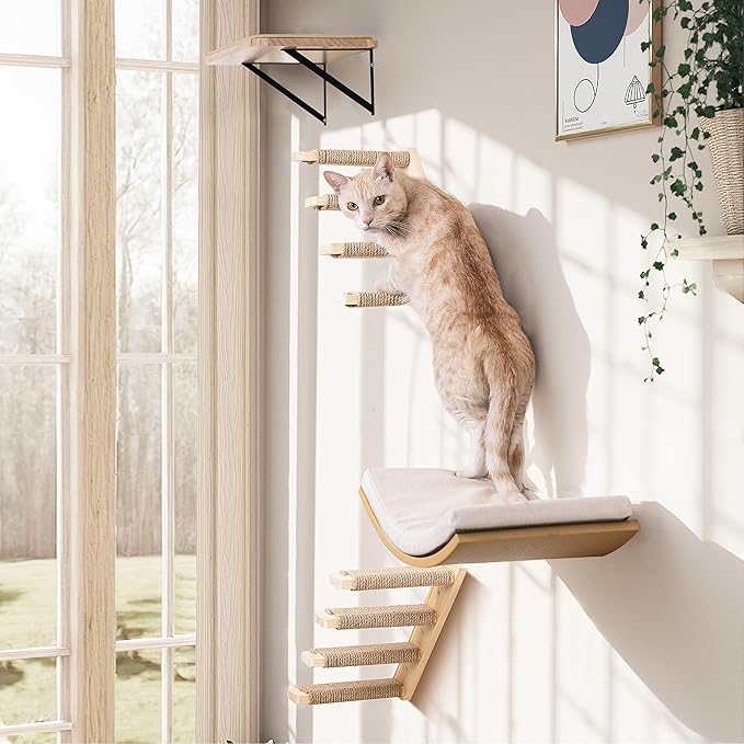 Wooden Cat Wall Steps Shelves Set, Wall Mounted Cats Shelves - Image 4