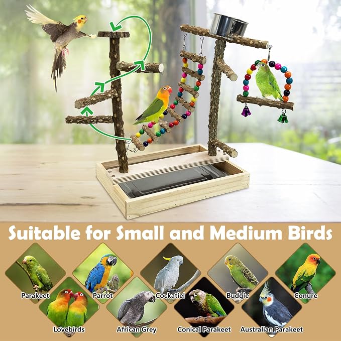 Tfwadmx Bird Playground Natural Wood Bird Play Stands Parrot Perch Stand - Image 6