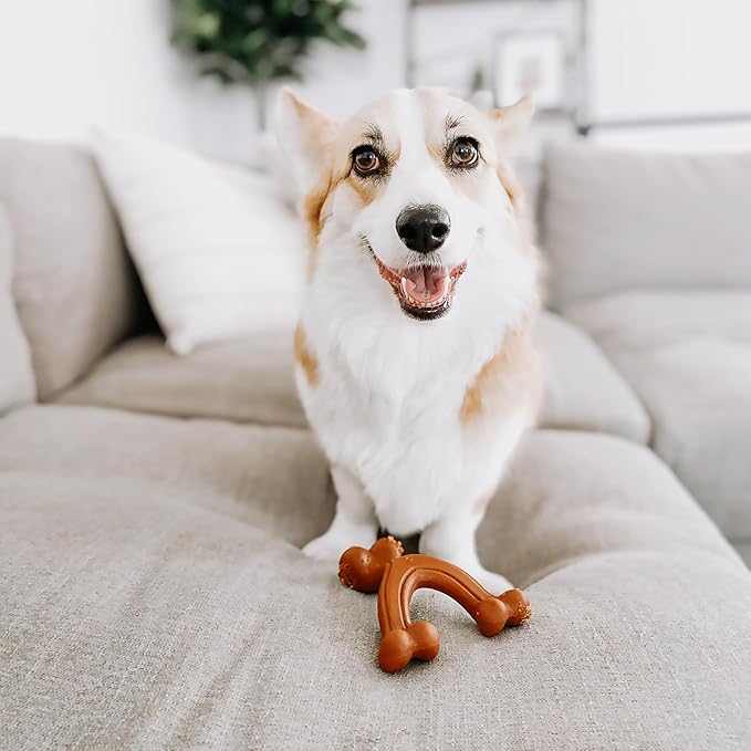 Nylabone Ergonomic Hold Wishbone Power Chew Toy - Image 2