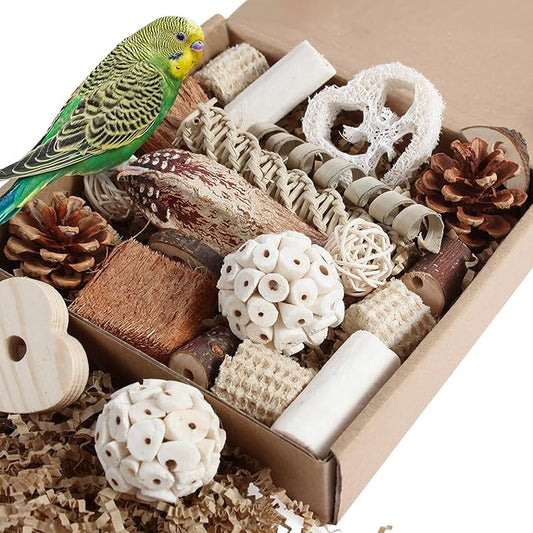 Kyouki Bird Toys Parrot Toys Natural Bird Foraging Box Foot by Unknown