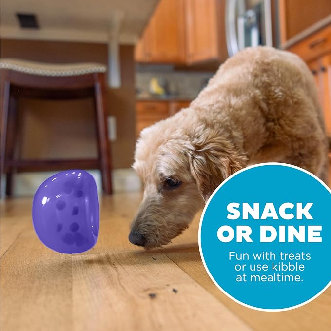Outward Hound by Planet Dog Lil' Snoop Dog Toy – Treat‑Dispenser Puzzle Ball - Image 6