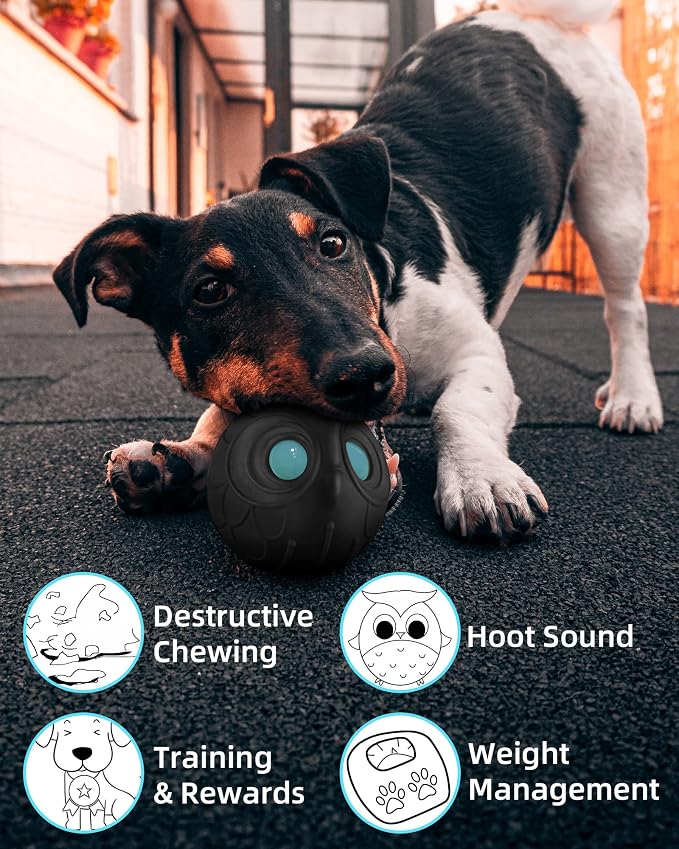 Mewlmart Giggle Ball for Dogs Owl Toys for Aggressive Chewers Punching Balls - Image 5