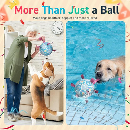 QDAN Dog Birthday Toys, Soccer Ball - Image 6