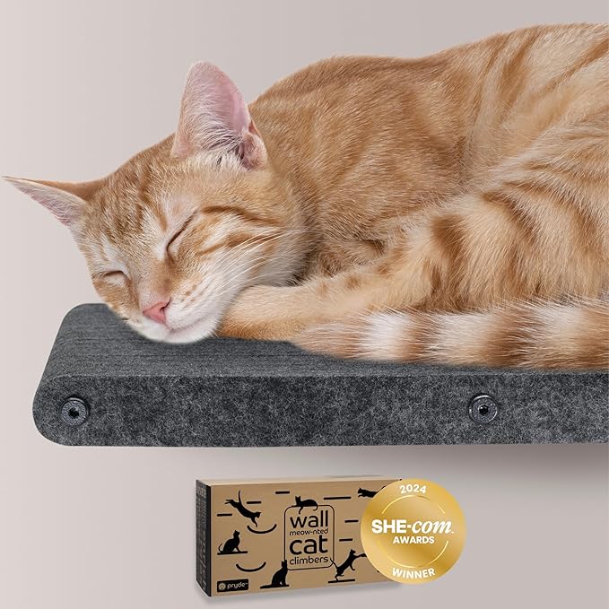 Wall Mounted Cat Perch Long Shelf by Pryde Pets by PrydePets