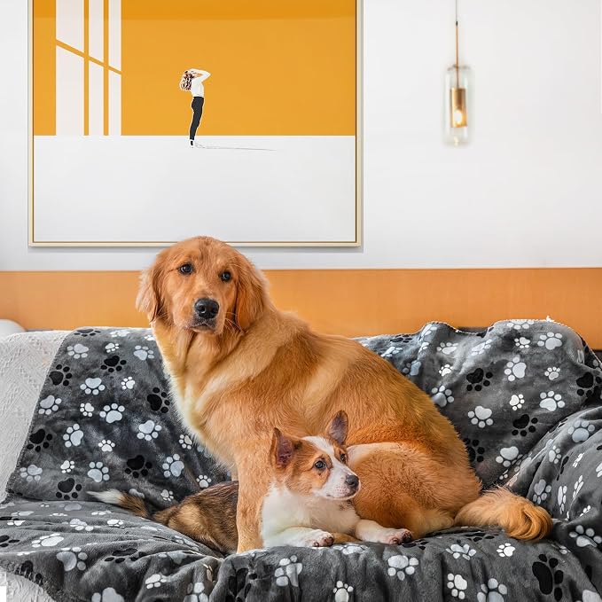Waterproof Pet Blanket Dog Blankets, Pattern Printing Super Soft Warm Fluffy by AIWEKHOME