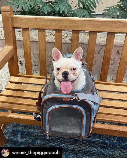 Mr. Peanut's Gold Series Big Apple XL Expandable Pet Carrier V3.0 - Image 9