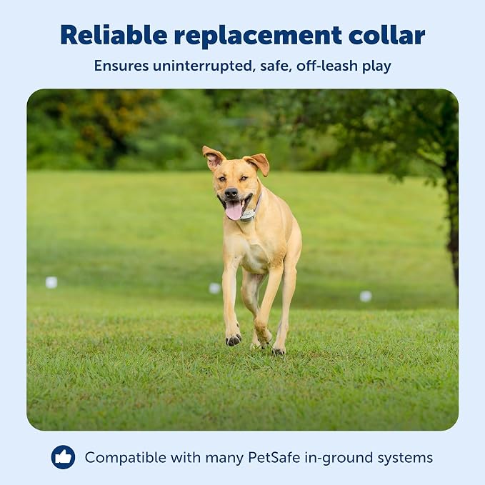 PetSafe Classic In-Ground Fence Rechargeable Receiver Collar for Dogs and Cats - Image 3