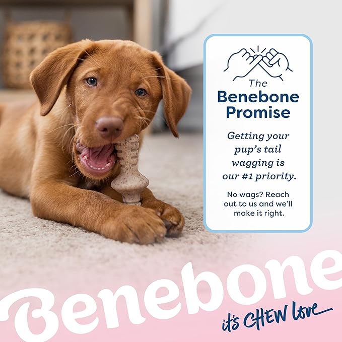 Benebone Puppy 2-Pack Maplestick/Zaggler Durable Dog Chew Toys - Image 6