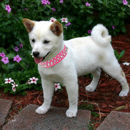 TEEMERRYCA Adjustable PU Leather Spiked Studded Dog Collars - Image 5