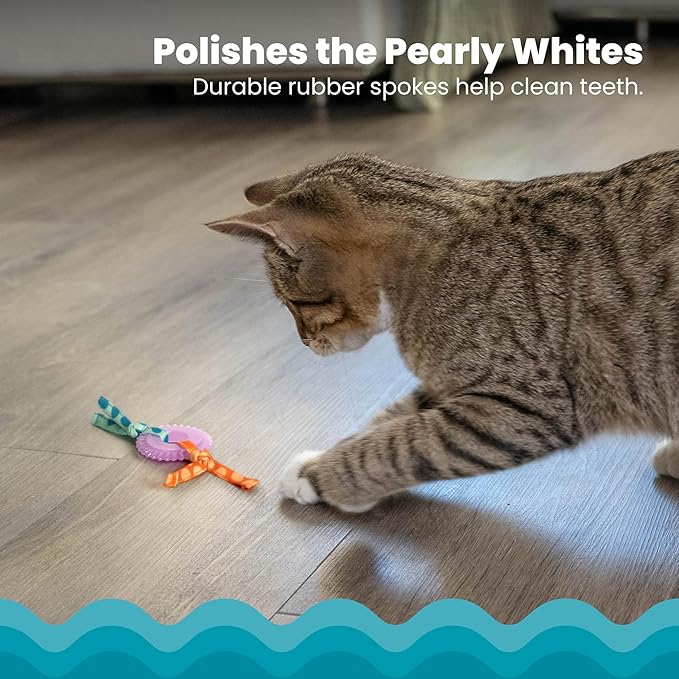 Catstages Kitty Chew Wheel, Dental Cat Toy - Image 3