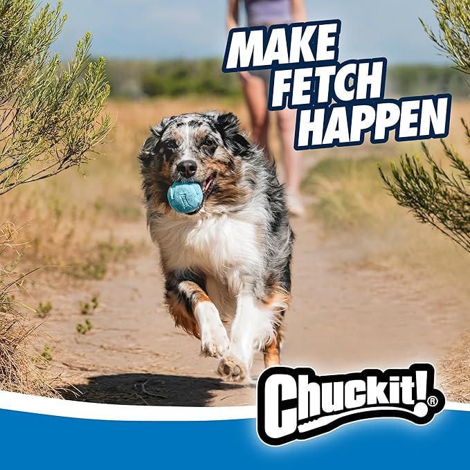 Chuckit! Rebounce Ball Dog Toy - Image 2