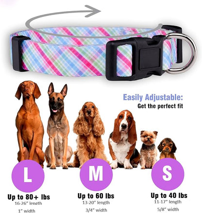 Native Pup Easter Dog Collar, Cute Spring Gift - Image 3