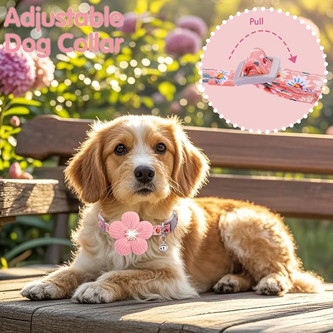 Medium Dog Collar with Flower, Dog Collars - Image 5