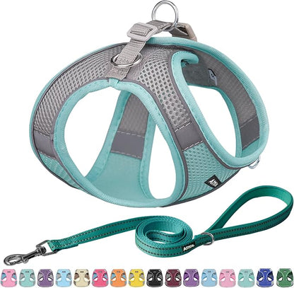 AIITLE Easy Walk Dog Harness and Leash Set by AIITLE-FORPETSBETTERLIFE