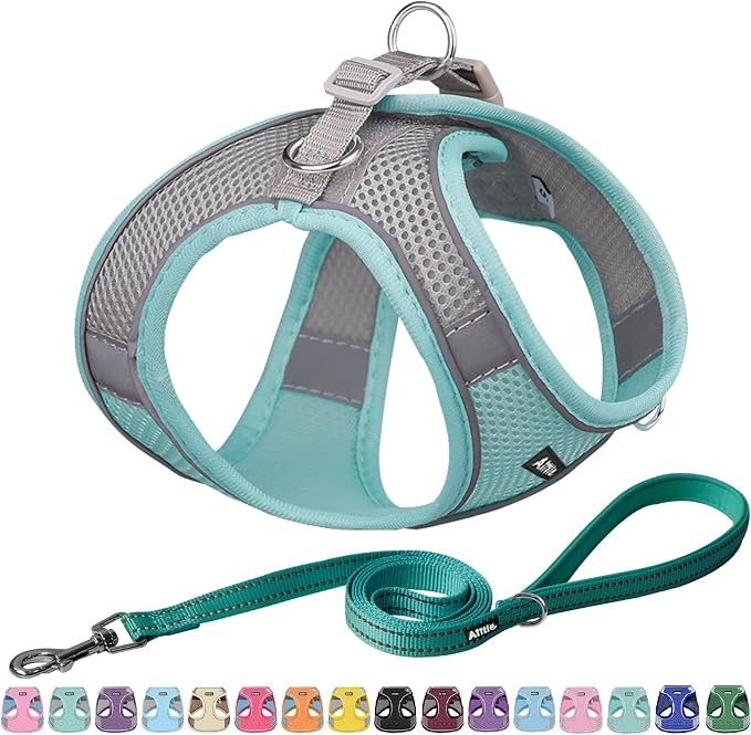 AIITLE Step in Dog Harness and Leash Set by AIITLE-FORPETSBETTERLIFE