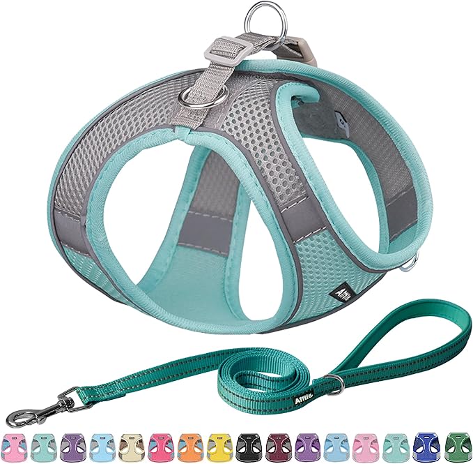 AIITLE Small Harness for Puppy by AIITLE-FORPETSBETTERLIFE