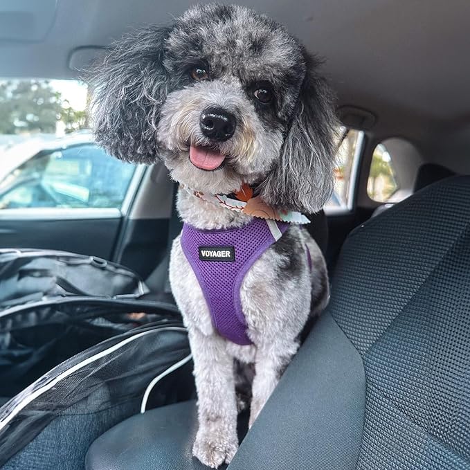 Best Pet Supplies Voyager Step-in Air Harness - Image 7