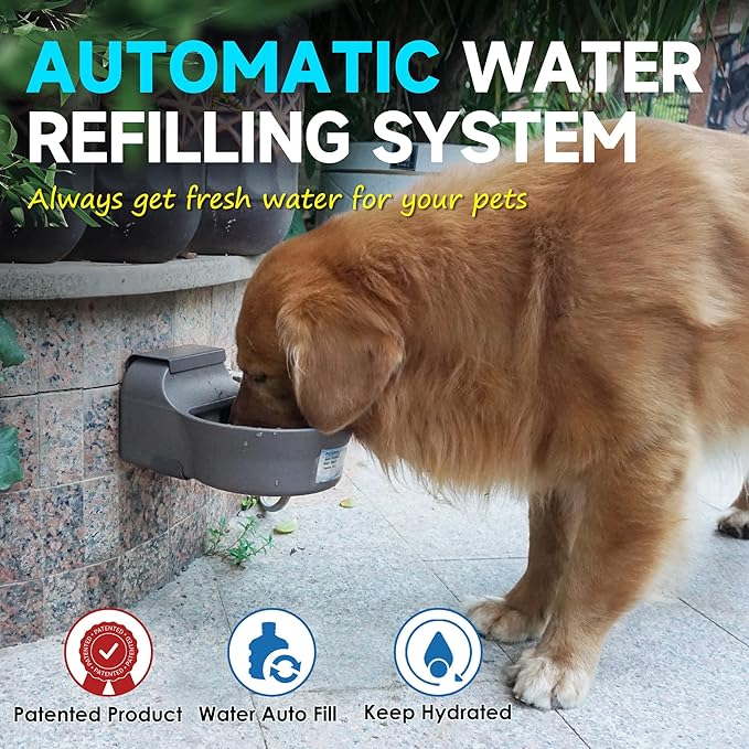 Automatic Dog Water Dispenser - Image 2