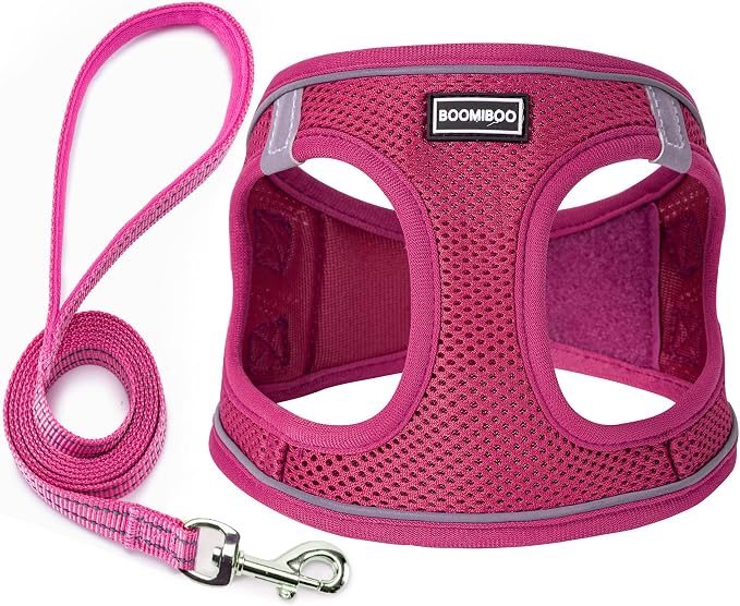 Dog Harness with Leash Set, No Pull Adjustable Reflective Step-in Puppy Pet by BOOMIBOO