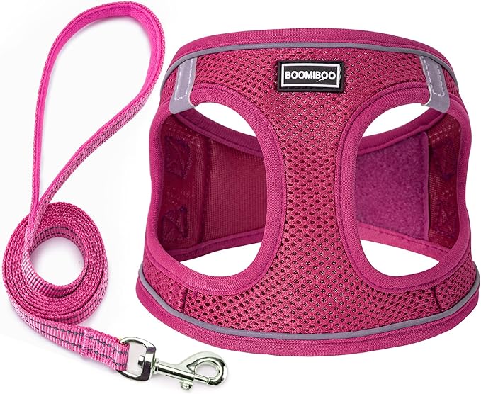 Dog Harness with Leash Set, No Pull Adjustable Reflective Step-in Puppy Pet by BOOMIBOO