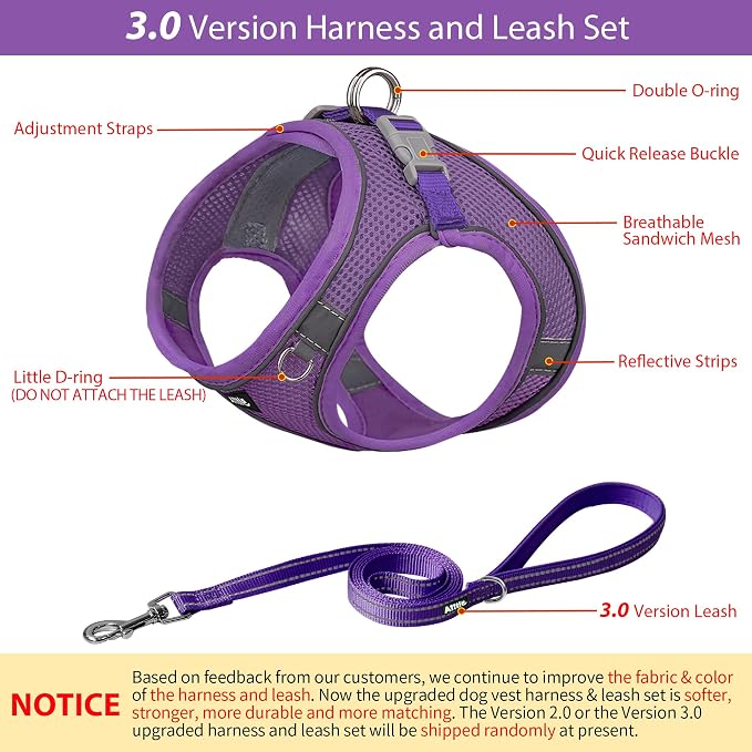 AIITLE Comfortable Dog Harness and Leash Set - Image 2