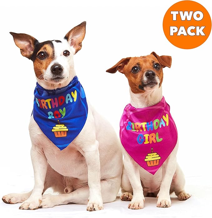 Dog Birthday Bandana - Image 3
