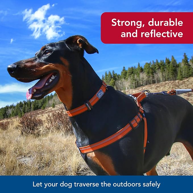Coastal Pet K9 Explorer Reflective Adjustable Dog Collar - Image 3