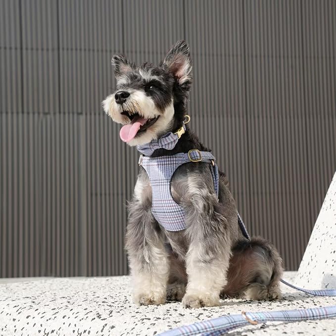 Beirui Cute Small Dog Harness Collar and Leash Set - Image 4