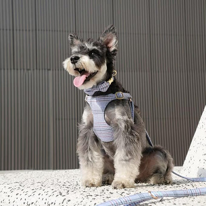 Beirui Cute Small Dog Harness Collar and Leash Set - Image 4