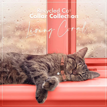 Pawtitas Recycled Coral Reflective Cat Collar – Eco-Friendly Breakaway Safety - Image 9