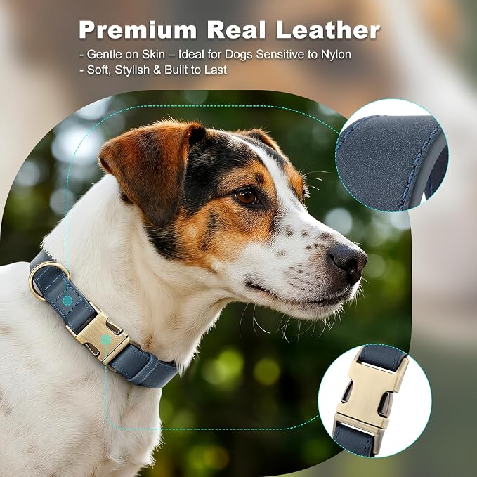 Plutus Pet Genuine Leather Dog Collar – Adjustable Pet Collar - Image 3