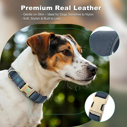 Plutus Pet Genuine Leather Dog Collar – Adjustable Pet Collar - Image 3
