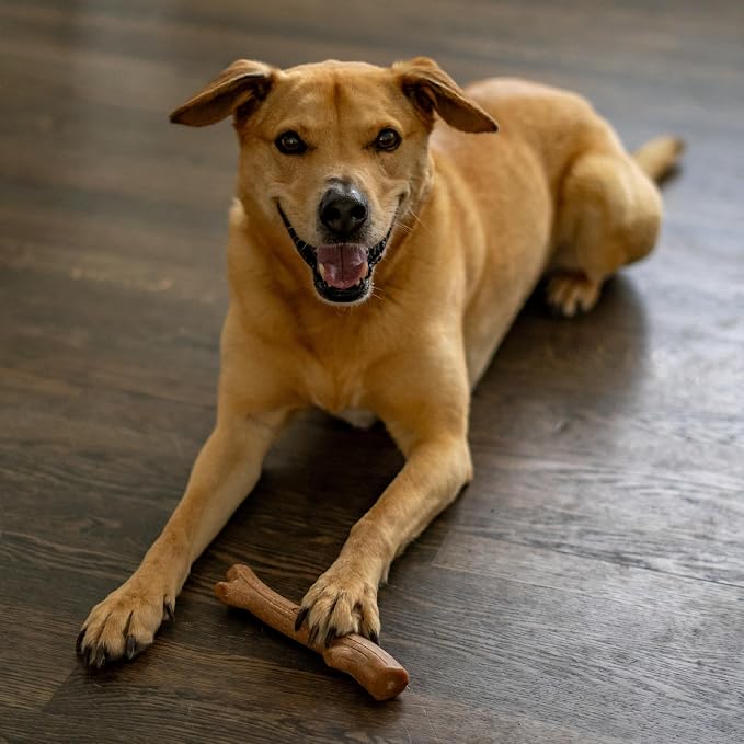 Petstages Outward Hound Super Dogwood Durable Dog Chew Toy, Small - Image 9