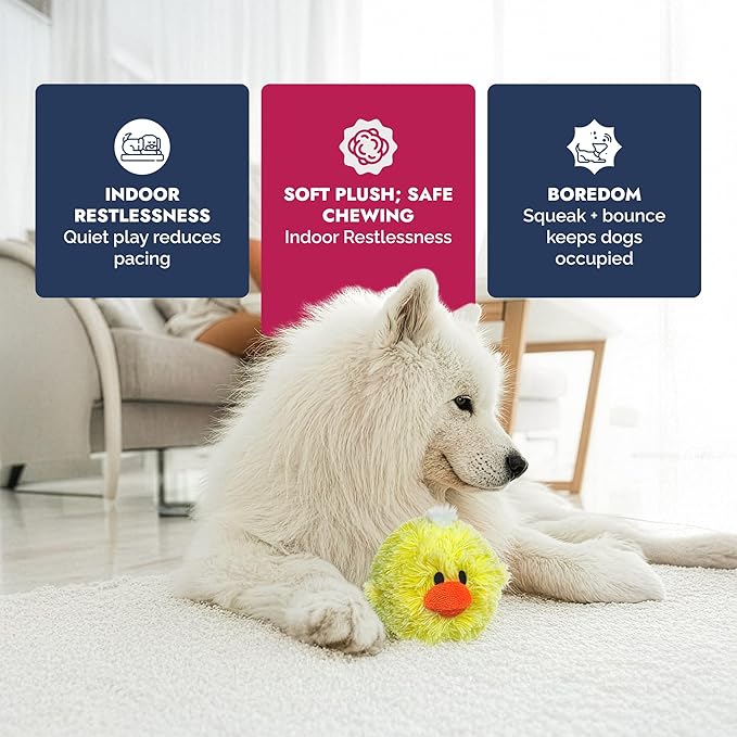 Pet Lou DOG'Z 4 Inch EZ Squeaky Chick Dog Plush Toy, Stuffing-Free Soft Plush - Image 5