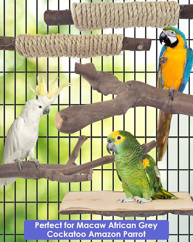 Bissap 5PCS Large Bird Perch Stand, Natural Wood Pole Standing Paw Grinding - Image 7