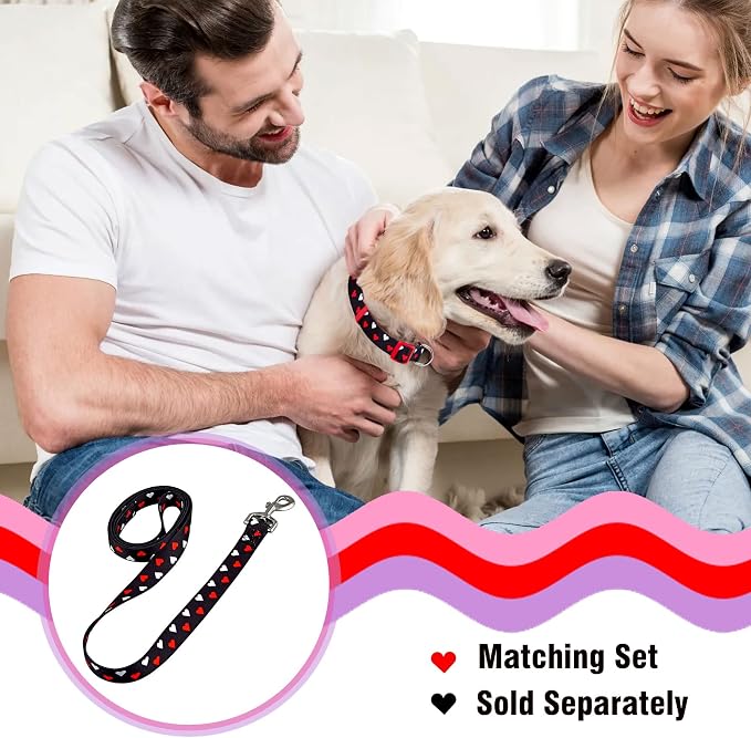 Native Pup Valentine Dog Collar - Image 5