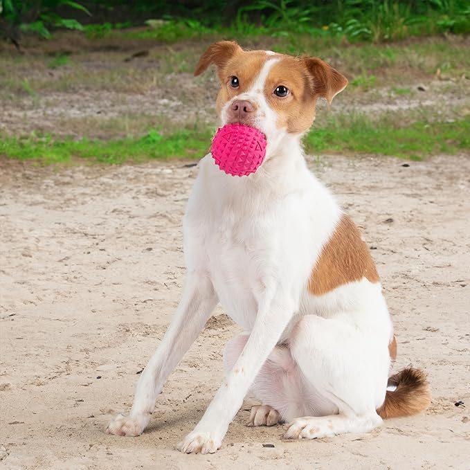 Best Pet Supplies Squeaky Dog Toys - Image 6