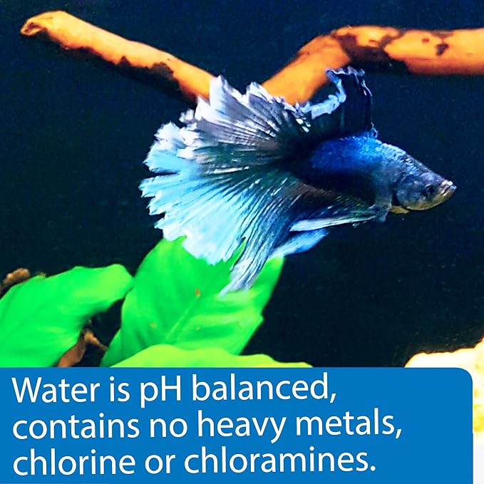 API Betta Water, 64 OZ - Image 2