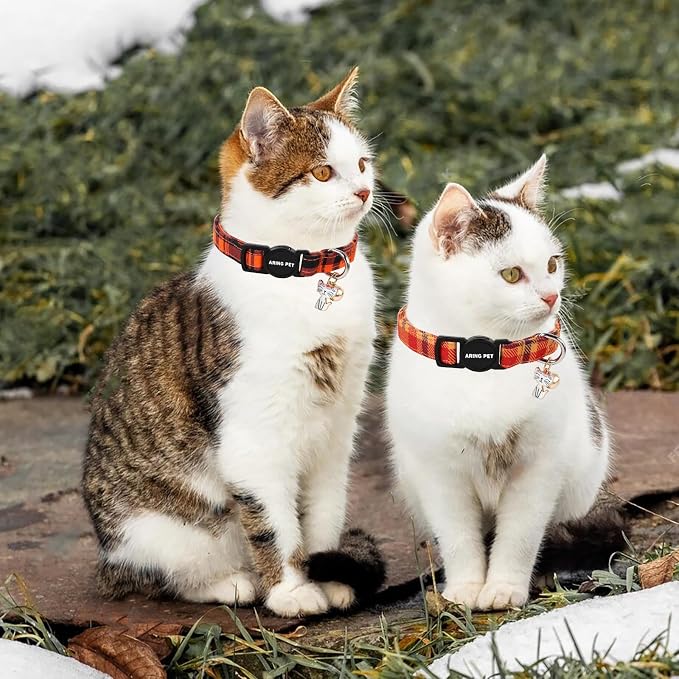 ARING PET 2 Pack Fall Cat Collars-Cute Breakaway Cat Collar - Image 6