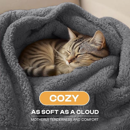 Luciphia Waterproof Pet Blanket - Image 2