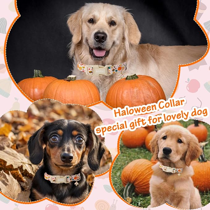Fall Woodland Dog Collar, Playful Squirrel & Pumpkin Print on White Collar - Image 2