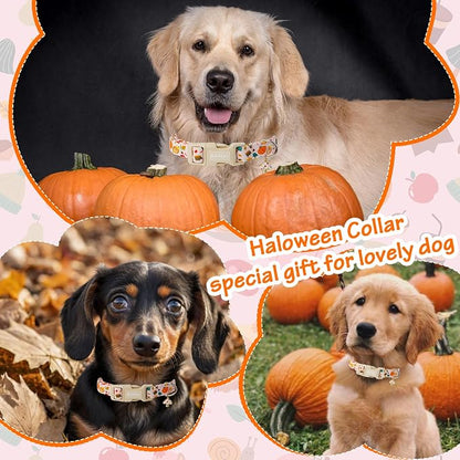 Fall Woodland Dog Collar, Playful Squirrel & Pumpkin Print on White Collar - Image 2