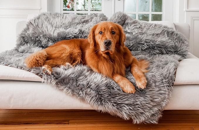 PupProtector Waterproof Throw Blanket by PAWBRANDS
