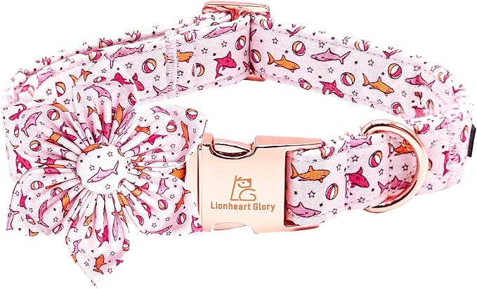 Lionheart Glory Shark Print Pink Collar by LionheartGlory
