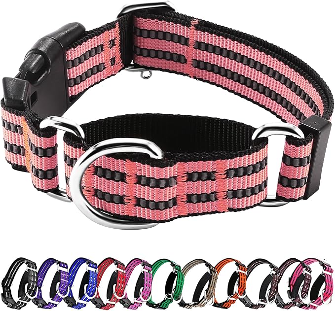 Hikiko Martingale Dog Collars Reflective Nylon Dog Collar by Hikiko
